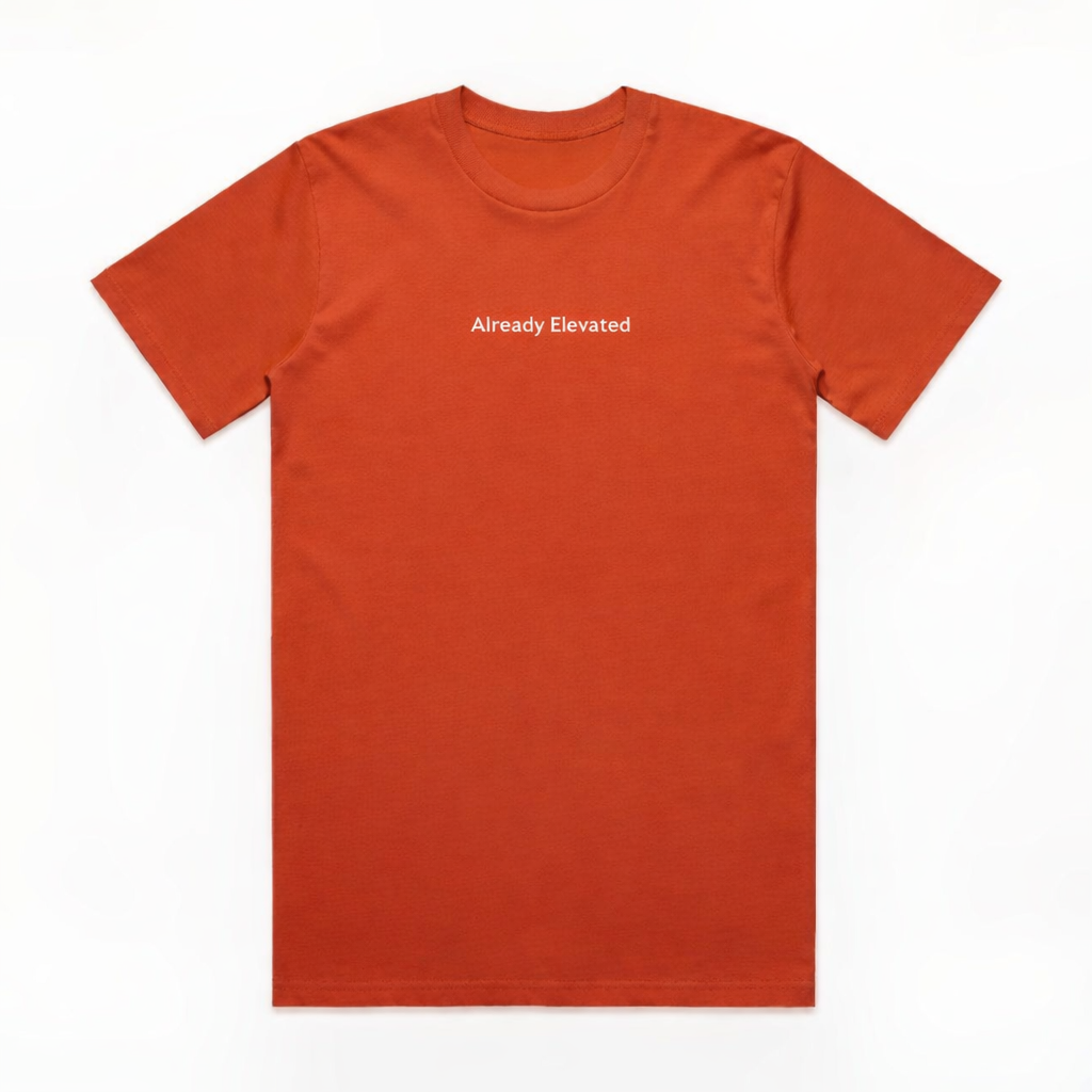 Burnt Orange Tshirt