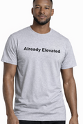 Light Grey Already Elevated Spring T-Shirt