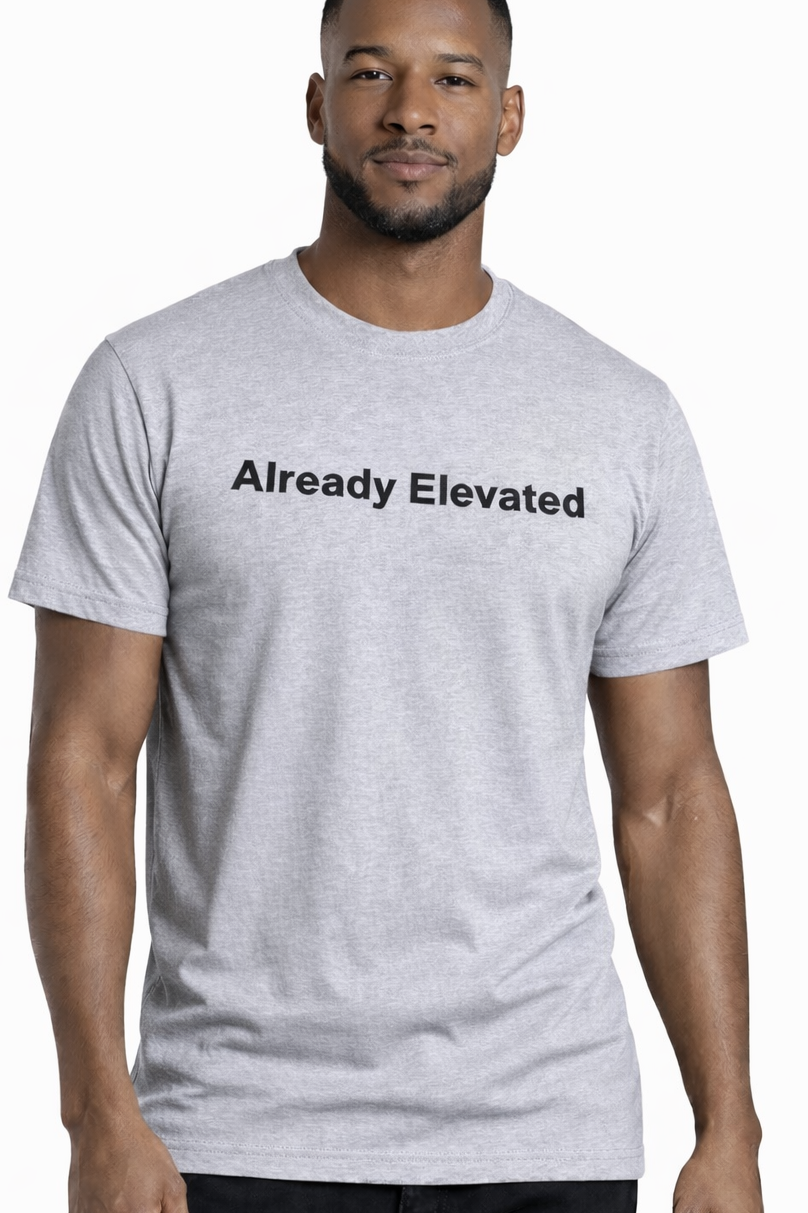 Light Grey Already Elevated Spring T-Shirt