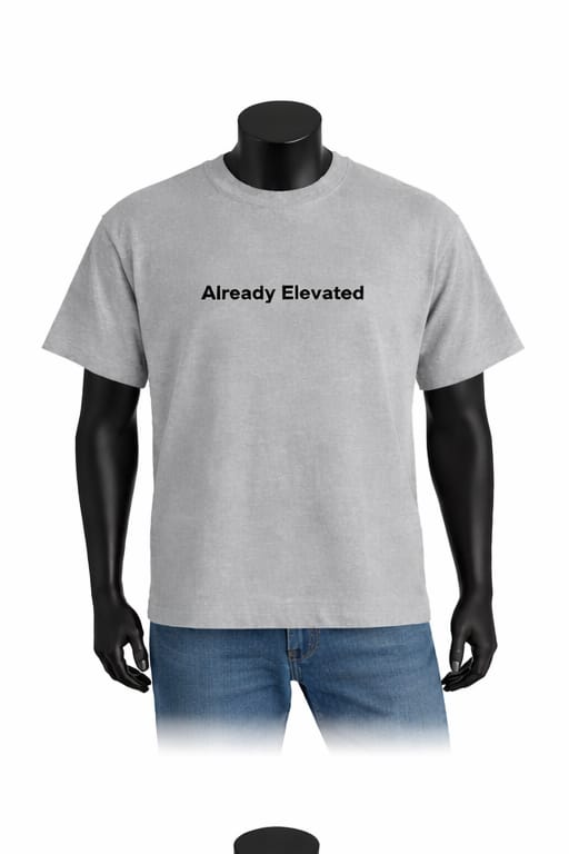 Light Grey Already Elevated Spring T-Shirt